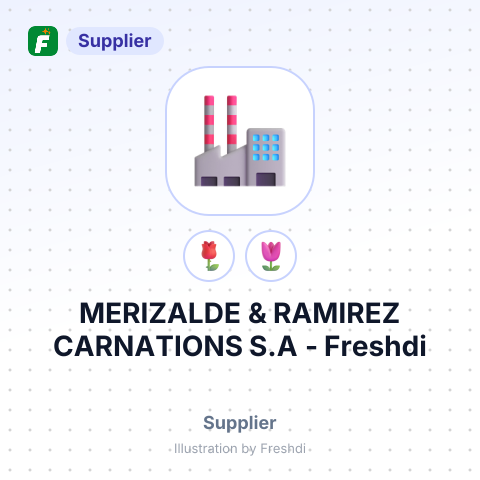 MERIZALDE & RAMIREZ CARNATIONS S.A – summary card, no photo uploaded yet