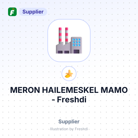 MERON HAILEMESKEL MAMO – summary card, no photo uploaded yet