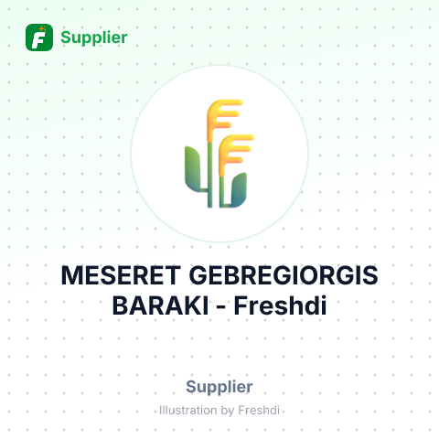 MESERET GEBREGIORGIS BARAKI – summary card, no photo uploaded yet