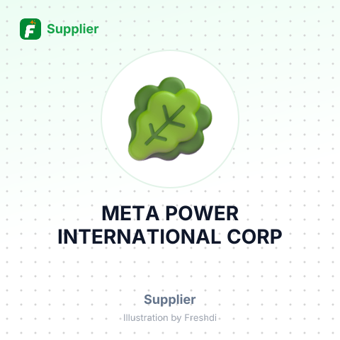 META POWER INTERNATIONAL CORP – summary card, no photo uploaded yet