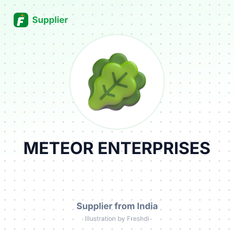 METEOR ENTERPRISES – summary card, no photo uploaded yet