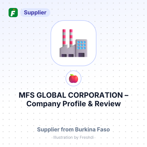 MFS GLOBAL CORPORATION – summary card, no photo uploaded yet