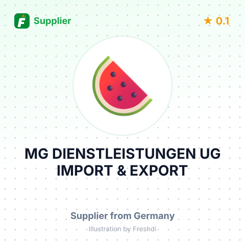 MG DIENSTLEISTUNGEN UG IMPORT &  EXPORT – summary card, no photo uploaded yet