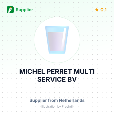 MICHEL PERRET MULTI SERVICE BV – summary card, no photo uploaded yet