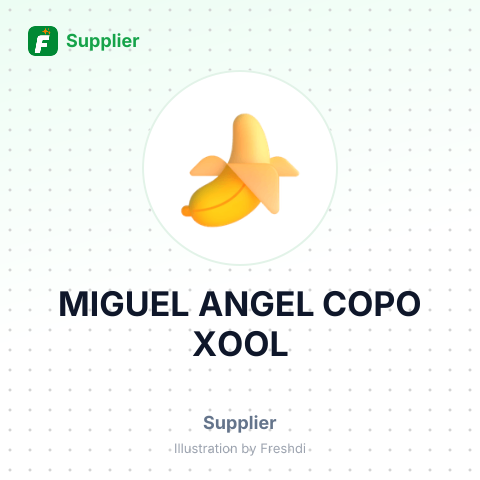 MIGUEL ANGEL COPO XOOL – summary card, no photo uploaded yet