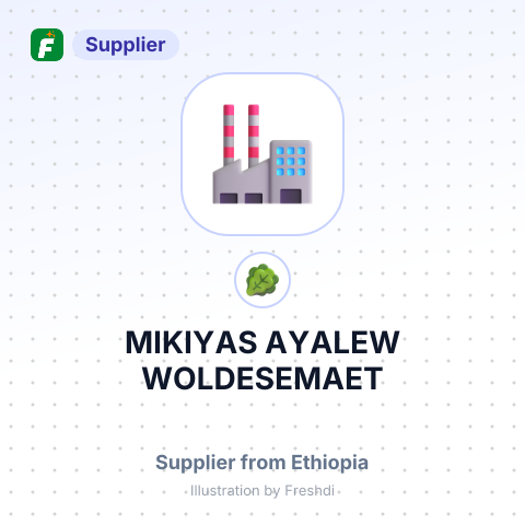 MIKIYAS AYALEW WOLDESEMAET – summary card, no photo uploaded yet