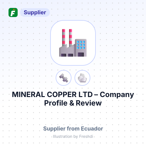 MINERAL COPPER LTD – summary card, no photo uploaded yet