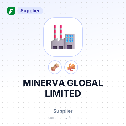 MINERVA GLOBAL LIMITED – summary card, no photo uploaded yet