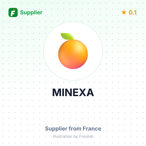 MINEXA – summary card, no photo uploaded yet