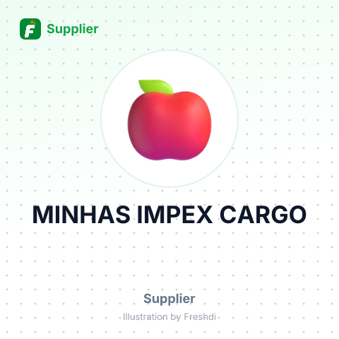MINHAS IMPEX CARGO – summary card, no photo uploaded yet