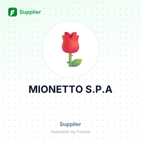 MIONETTO S.P.A – summary card, no photo uploaded yet
