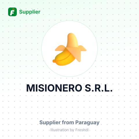 MISIONERO S.R.L. – summary card, no photo uploaded yet