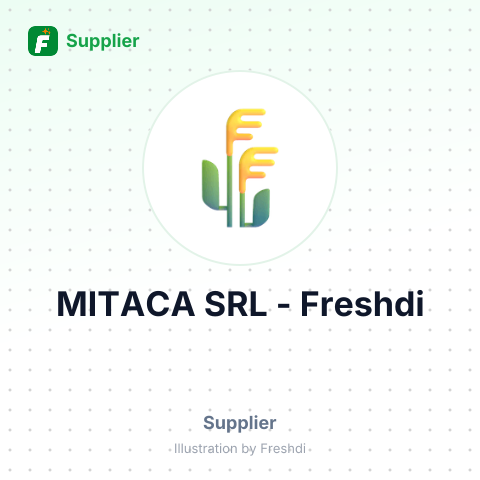 MITACA SRL – summary card, no photo uploaded yet