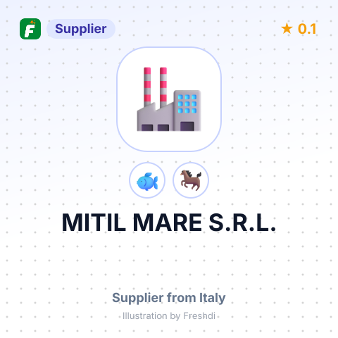 MITIL MARE S.R.L. – summary card, no photo uploaded yet