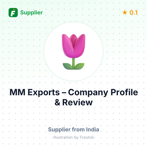 MM Exports – summary card, no photo uploaded yet