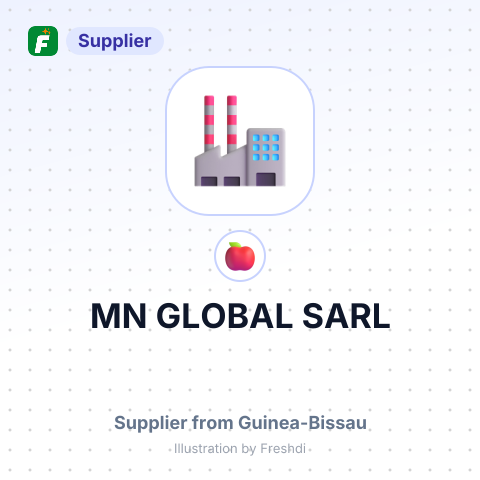 MN GLOBAL SARL – summary card, no photo uploaded yet