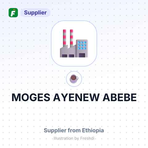 MOGES AYENEW ABEBE – summary card, no photo uploaded yet