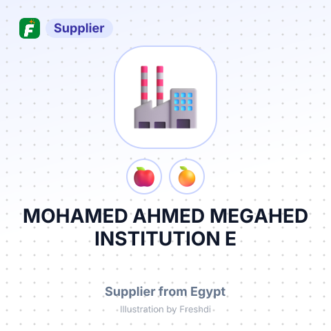 MOHAMED AHMED MEGAHED INSTITUTION E – summary card, no photo uploaded yet