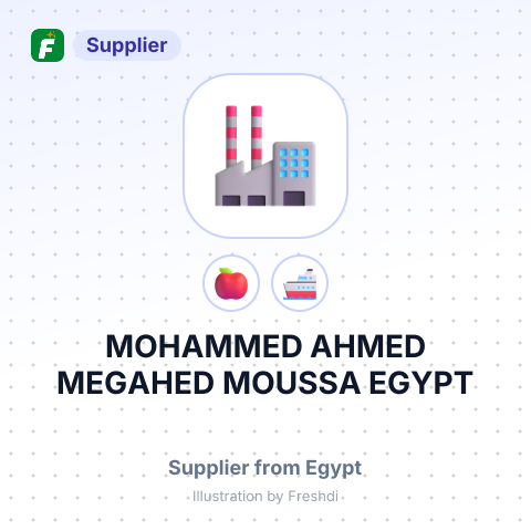 MOHAMMED AHMED MEGAHED MOUSSA EGYPT – summary card, no photo uploaded yet