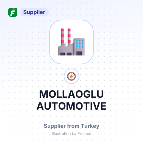 MOLLAOGLU AUTOMOTIVE – summary card, no photo uploaded yet