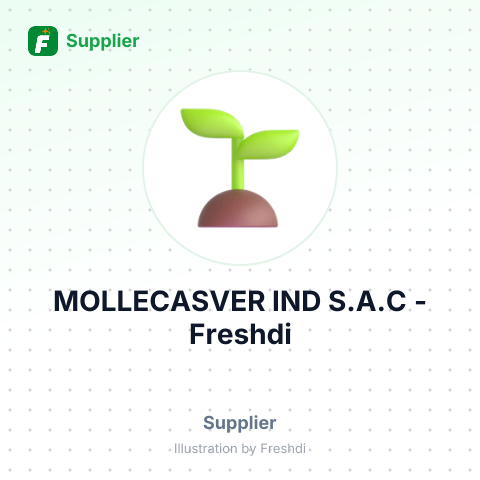 MOLLECASVER IND S.A.C – summary card, no photo uploaded yet