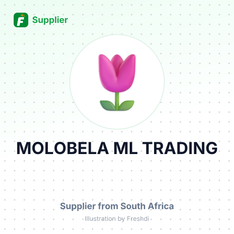 MOLOBELA ML TRADING – summary card, no photo uploaded yet