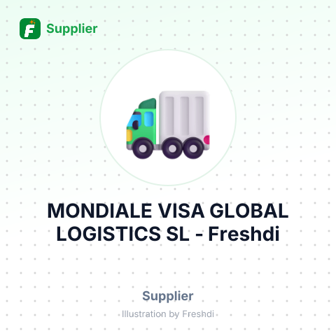 MONDIALE VISA GLOBAL LOGISTICS SL – summary card, no photo uploaded yet