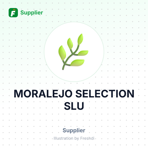 MORALEJO SELECTION SLU – summary card, no photo uploaded yet