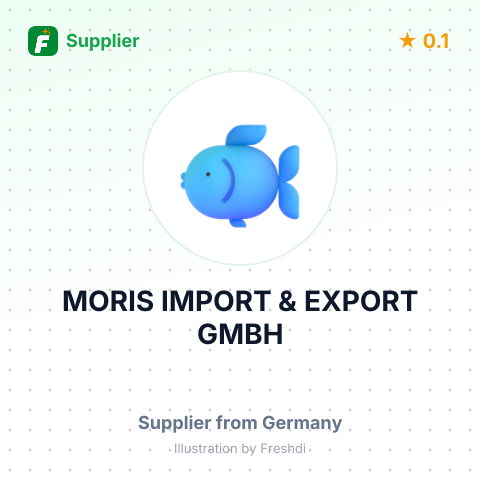 MORIS IMPORT & EXPORT GMBH – summary card, no photo uploaded yet
