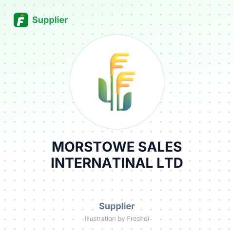 MORSTOWE SALES INTERNATINAL LTD – summary card, no photo uploaded yet