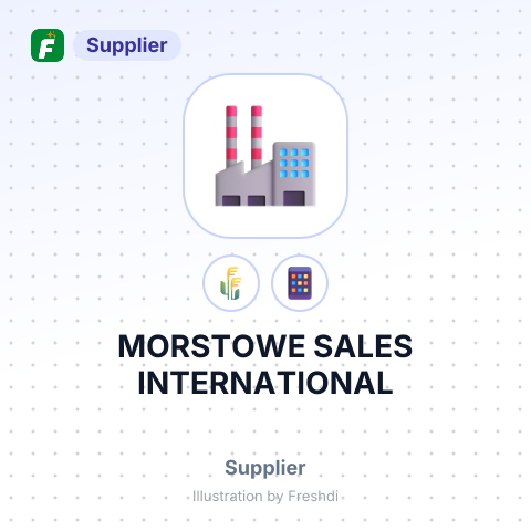 MORSTOWE SALES INTERNATIONAL – summary card, no photo uploaded yet