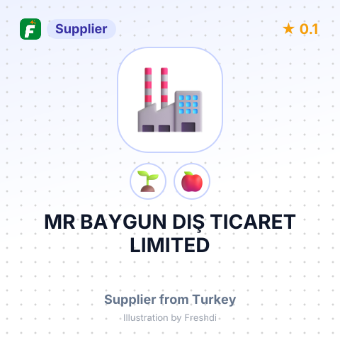 MR BAYGUN DIŞ TICARET LIMITED – summary card, no photo uploaded yet