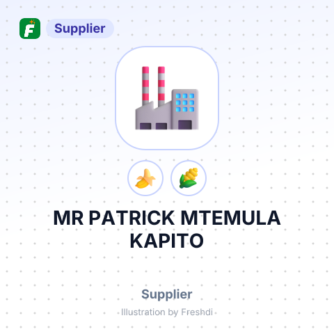 MR PATRICK MTEMULA KAPITO – summary card, no photo uploaded yet
