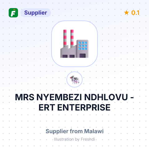 MRS NYEMBEZI NDHLOVU - ERT ENTERPRISE – summary card, no photo uploaded yet