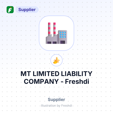 MT LIMITED LIABILITY COMPANY – summary card, no photo uploaded yet