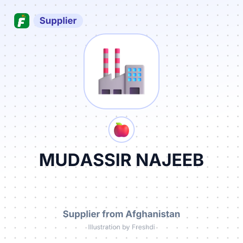 MUDASSIR NAJEEB – summary card, no photo uploaded yet