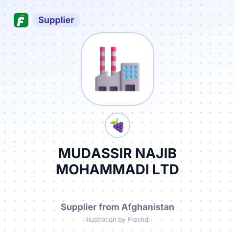MUDASSIR NAJIB MOHAMMADI LTD – summary card, no photo uploaded yet