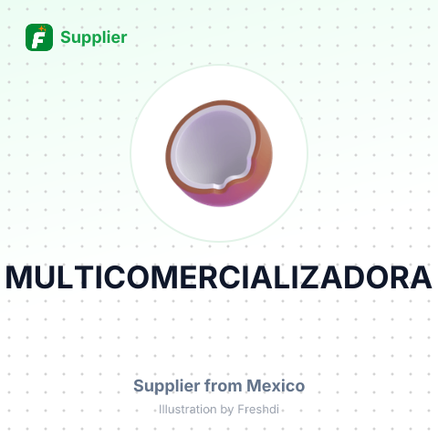 MULTICOMERCIALIZADORA – summary card, no photo uploaded yet