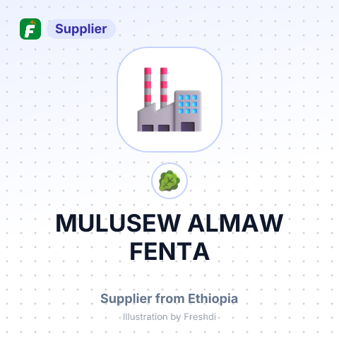 MULUSEW ALMAW FENTA – summary card, no photo uploaded yet