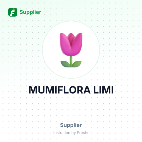 MUMIFLORA LIMI – summary card, no photo uploaded yet