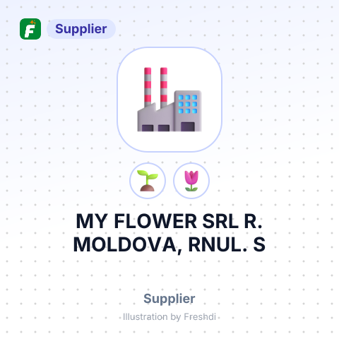 MY FLOWER SRL R. MOLDOVA, RNUL. S – summary card, no photo uploaded yet