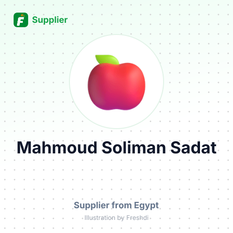 Mahmoud Soliman Sadat – summary card, no photo uploaded yet