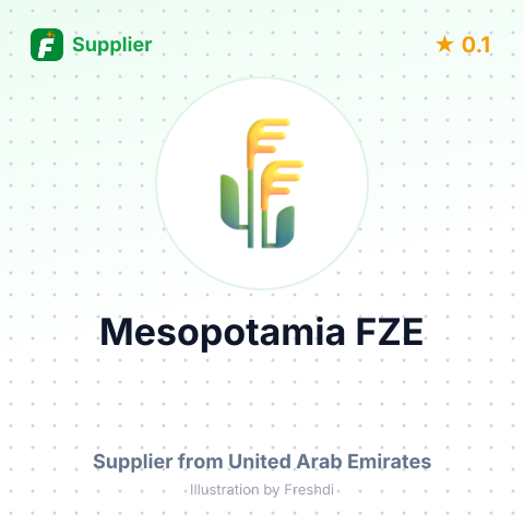 Mesopotamia FZE – summary card, no photo uploaded yet