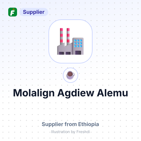 Molalign Agdiew  Alemu – summary card, no photo uploaded yet