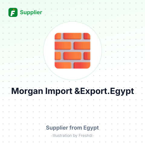 Morgan Import &Export.Egypt – summary card, no photo uploaded yet
