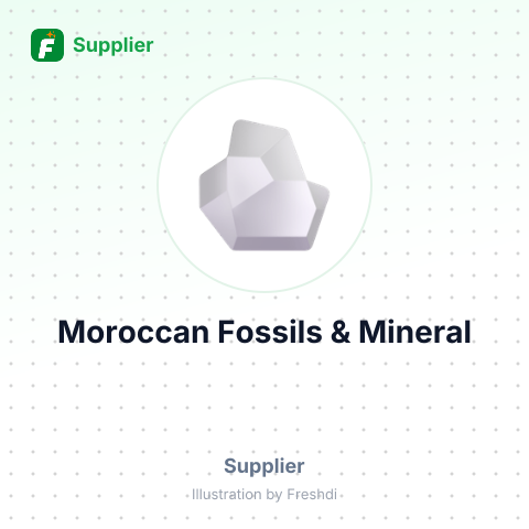 Moroccan Fossils & Mineral – summary card, no photo uploaded yet
