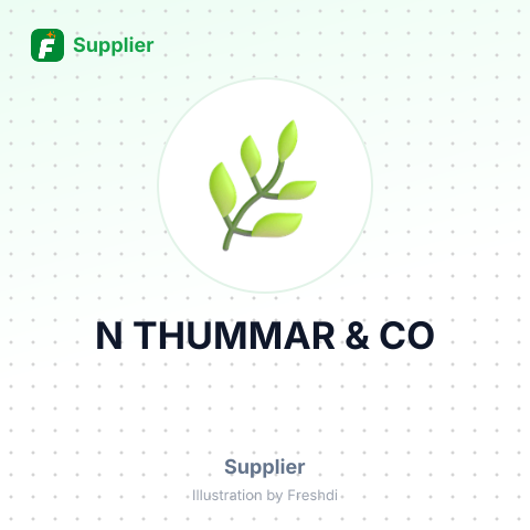 N THUMMAR & CO – summary card, no photo uploaded yet