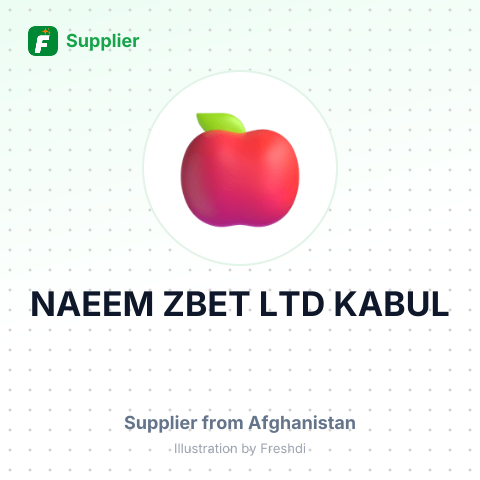 NAEEM ZBET LTD KABUL – summary card, no photo uploaded yet
