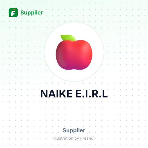 NAIKE E.I.R.L – summary card, no photo uploaded yet