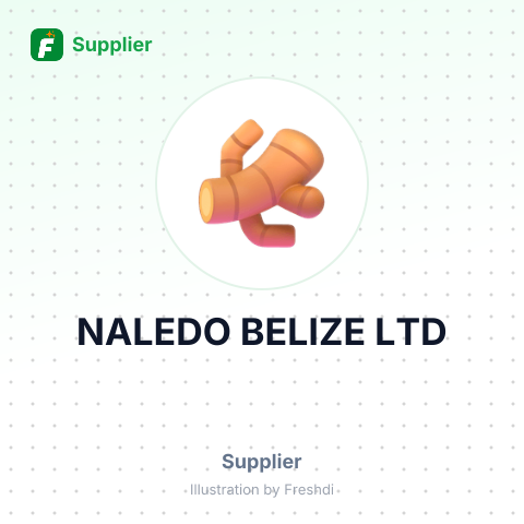 NALEDO BELIZE LTD – summary card, no photo uploaded yet